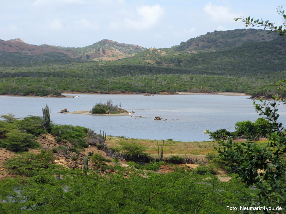 0038 Insel Bonaire 2009